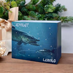 Angelköder Adventskalender 2026 | 24 Angelköder | Für Süß- & Salzwasser
