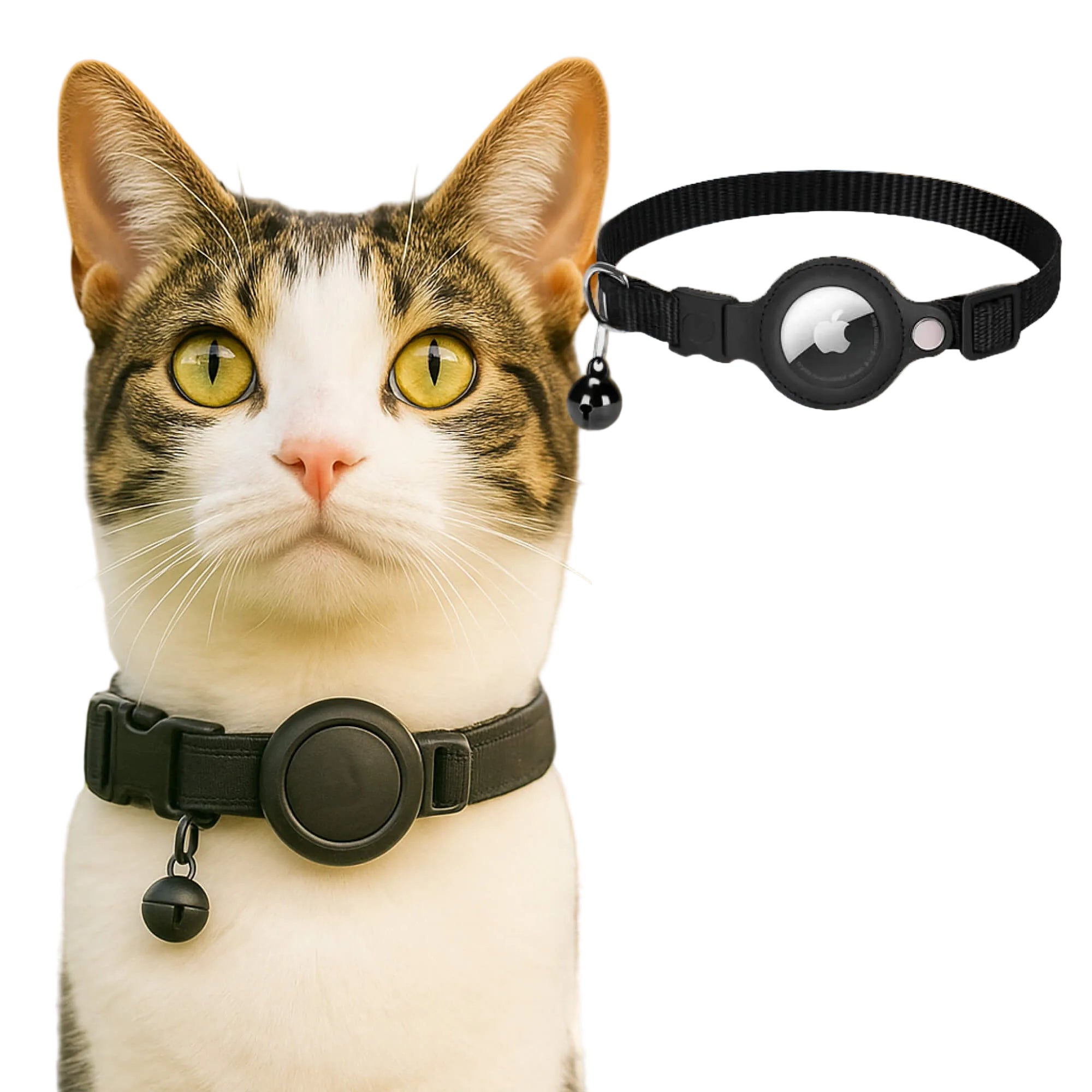 Reflektierendes Verstellbares Haustierhalsband - PU Halsband mit Trackerhalterung