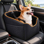 Erhöhter Hunde-Autositz | Bis 16 kg | Verstellbare Gurte & Abnehmbarer Bezug