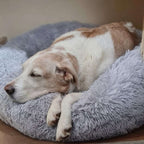 Rundes Haustierbett aus Kunstfell | Nylon & gepolsterter erhöhter Rand | Waschbares Hundebett und Katzenbett