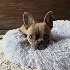 Rundes Haustierbett aus Kunstfell | Nylon & gepolsterter erhöhter Rand | Waschbares Hundebett und Katzenbett