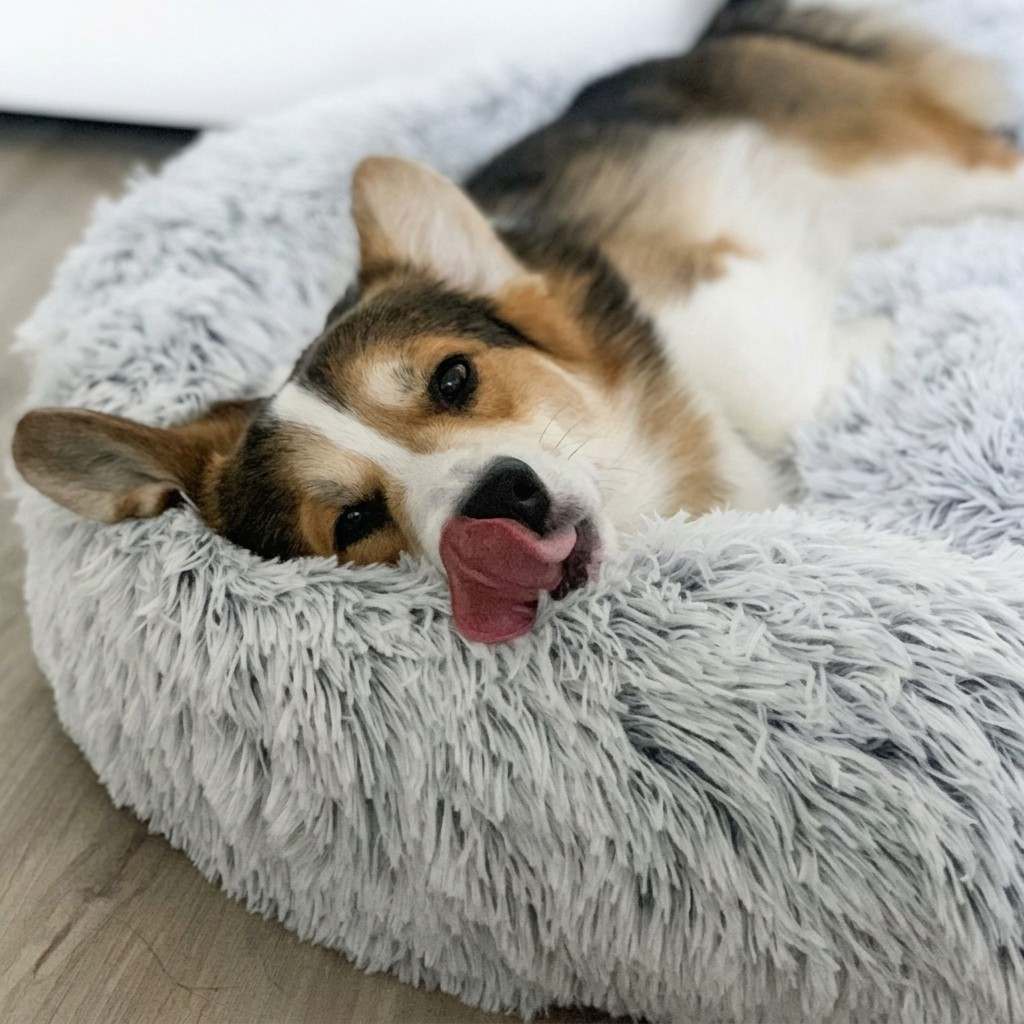 Rundes Haustierbett aus Kunstfell | Nylon & gepolsterter erhöhter Rand | Waschbares Hundebett und Katzenbett