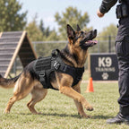 Taktisches Hundegeschirr | Verstellbare Weste aus 1050D Nylon | Vorderer D-Ring, Kontrollgriff & MOLLE-System