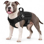 Taktisches Hundegeschirr | Verstellbare Weste aus 1050D Nylon | Vorderer D-Ring, Kontrollgriff & MOLLE-System