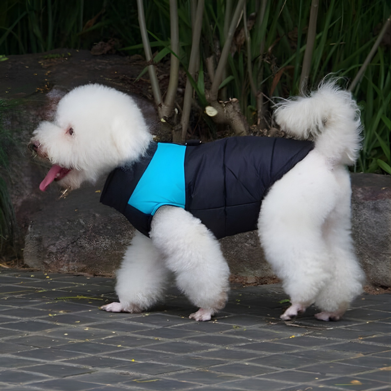 Hundejacke für Herbst und Winter - Polyester Hundemantel Einfarbig