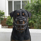 Verstellbarer Hundemaulkorb | Offenes Gummidesign | Für Training & Spaziergänge