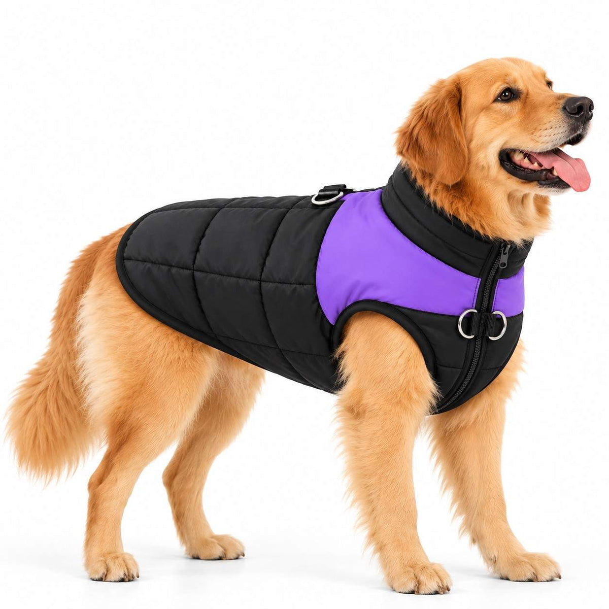 Winterjacke für Hunde | Polyester mit Karomuster | Hundemantel für Spaziergänge im Freien