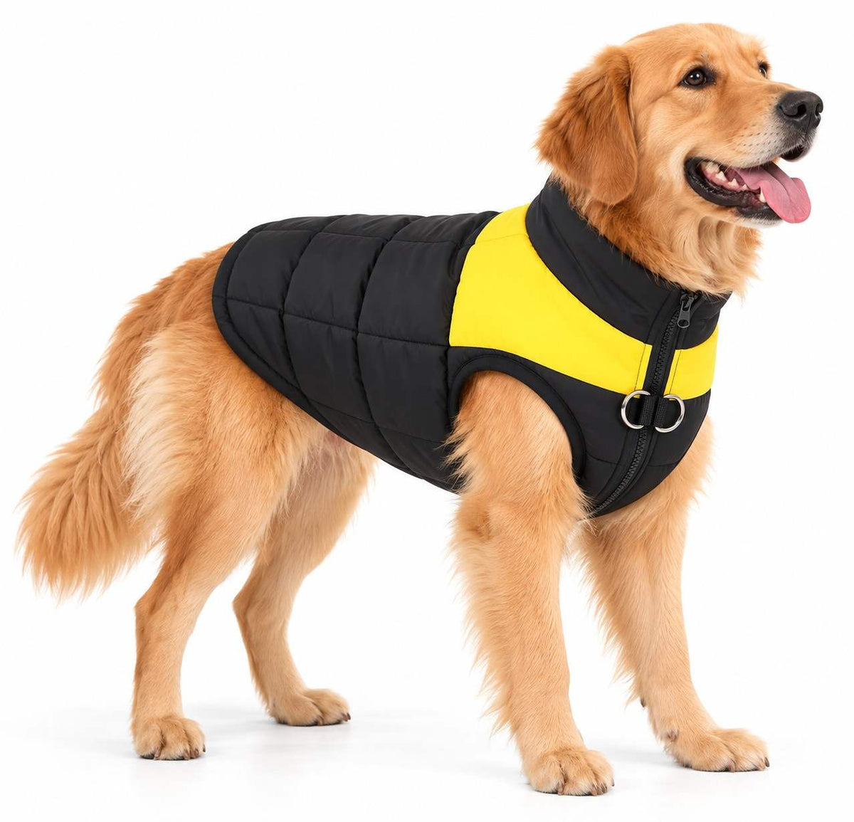 Winterjacke für Hunde | Polyester mit Karomuster | Hundemantel für Spaziergänge im Freien