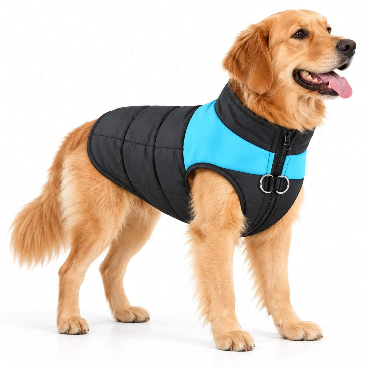 Winterjacke für Hunde | Polyester mit Karomuster | Hundemantel für Spaziergänge im Freien